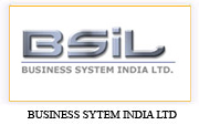 business system india limited